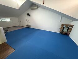 Geylang Road (D14), Shop House #451373001